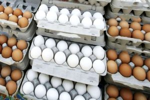 قیمت تخم مرغ ریزش کرد