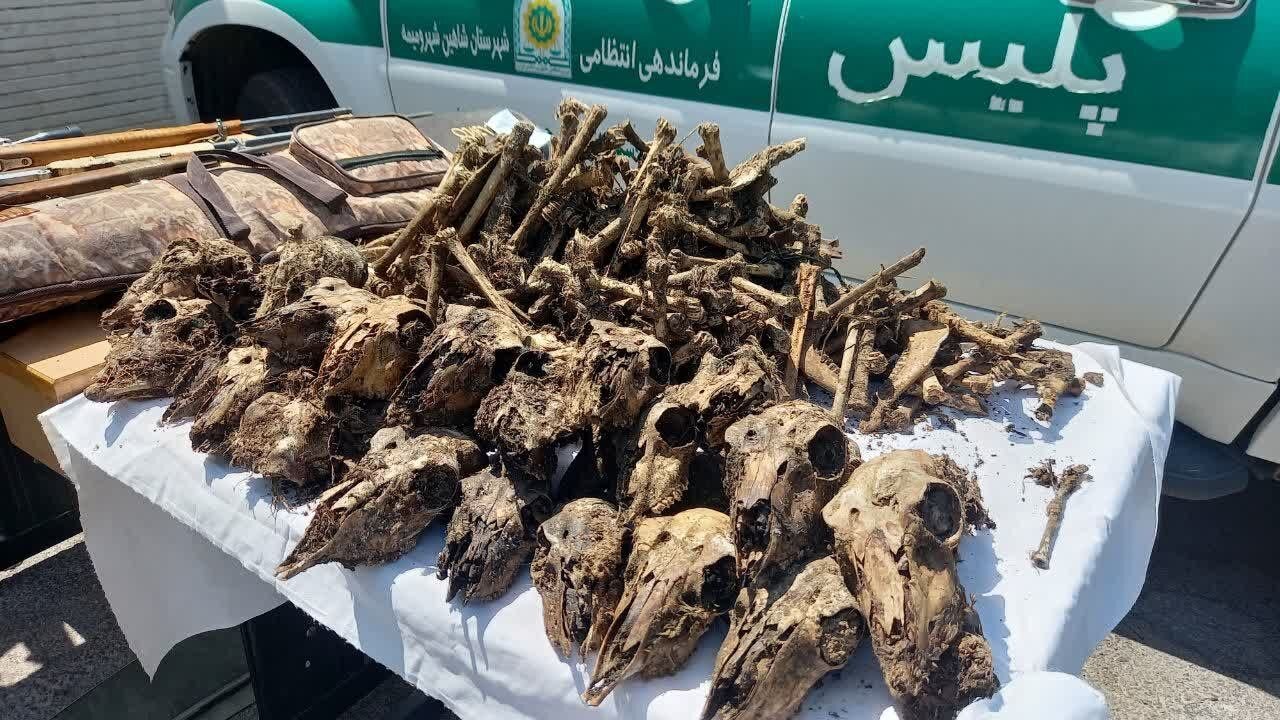 چاه پر از جمجمه در حاشیه «موته» | محیط زیست در انتظار نتایج آزمایش ‌ها | متخلفان نقره داغ می‌ شوند