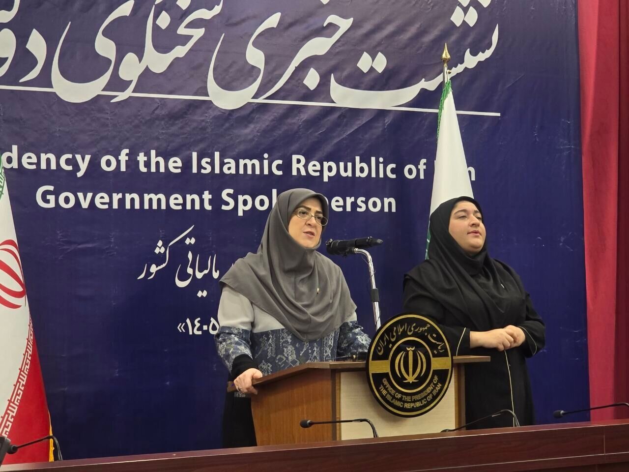 اظهارات سخنگوی دولت درباره آخرین وضعیت خلبانان ایرانی، بنزین، اشتغال زنان و …/ واردات انواع خودرو توسط هتل‌داران و ایرانیان خارج از کشور متوقف شد
